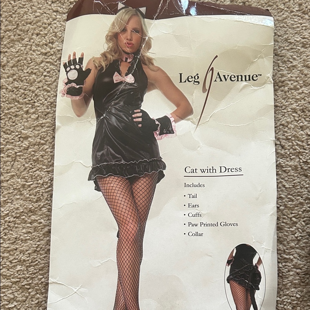 Black and Pink Cat Dress Costume